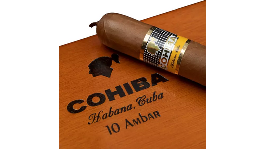 Cohiba Ambar